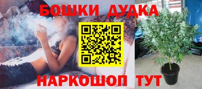 каннабис Шелехов