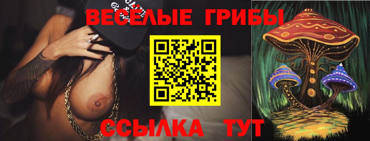 Галлюциногенные грибы Cubensis Семёнов